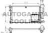 AUTOGAMMA 100156 Radiator, engine cooling